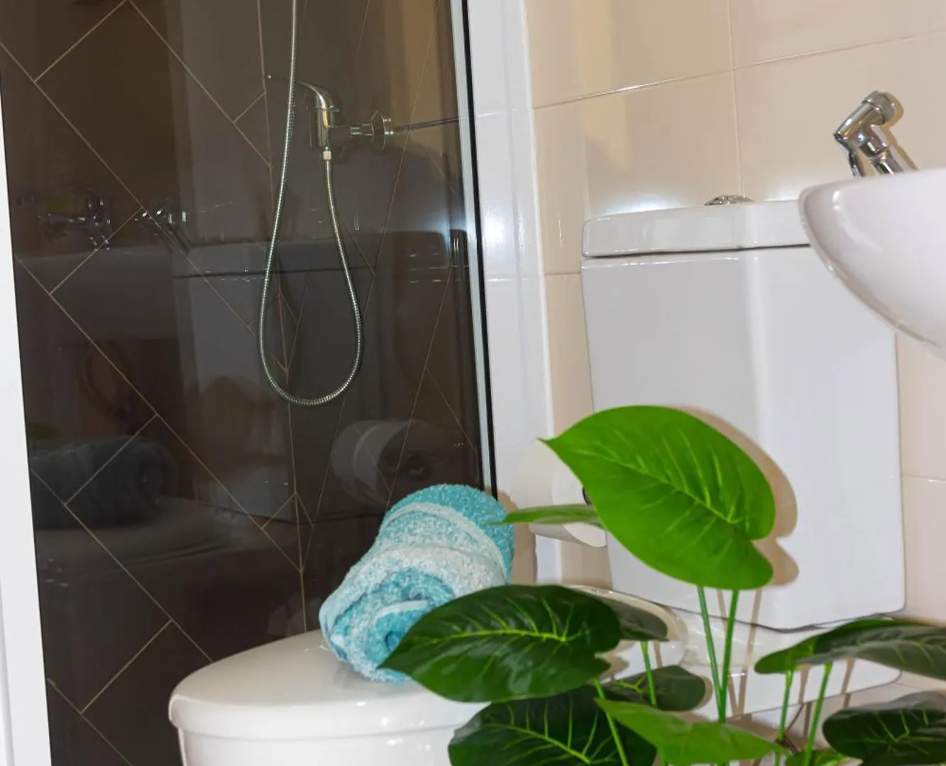 Beauty Plaza Apartaments Santa Maria 0*,