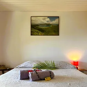 https://pension-mave-mai.frenchpolynesia-hotels.com